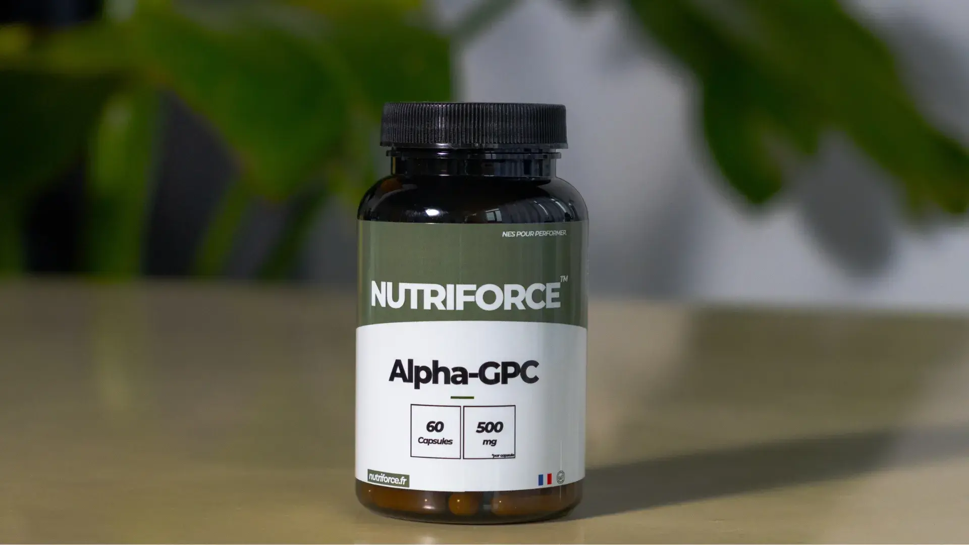 Produit Nutriforce Alpha GPC en gélules