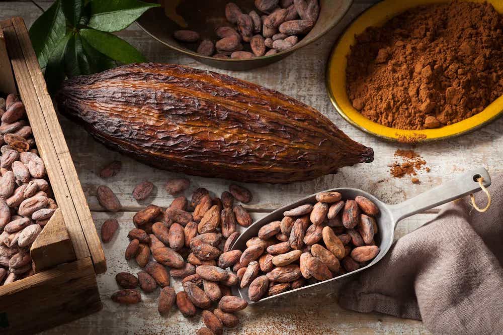 cacao epicatechines complément alimentaire poudre ou capsules et gélules
