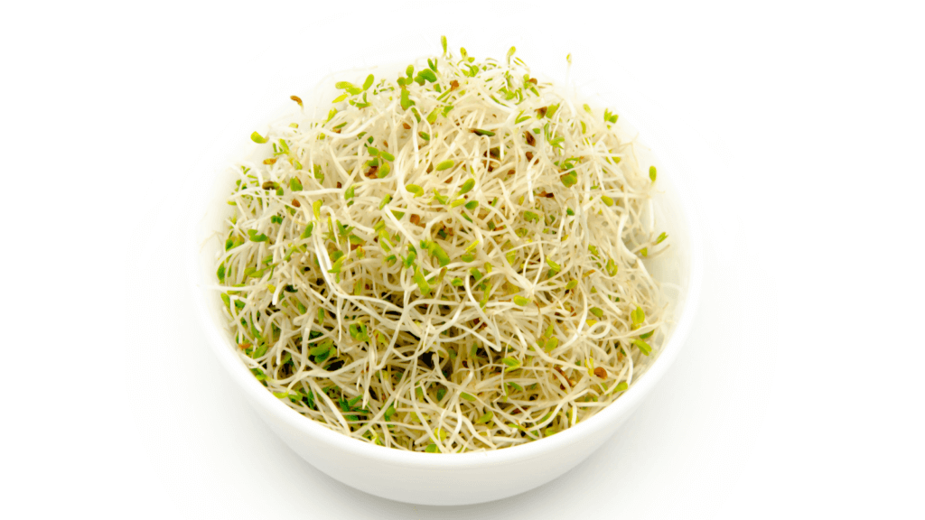 L'alfalfa et ses nombreux bienfaits sur la santé sans effets secondaires