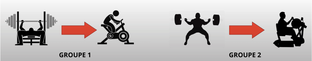 Schéma d'activités des deux groupes de l'étude de 2017