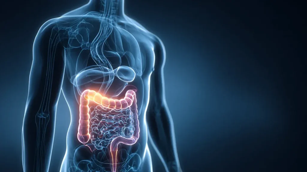 garcinia pour le foie