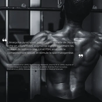 Etude clinique réalisée par nutriforce sur le pyrèthre d'afrique