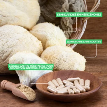 liste des bienfaits du lion's Mane hericium de nutriforce