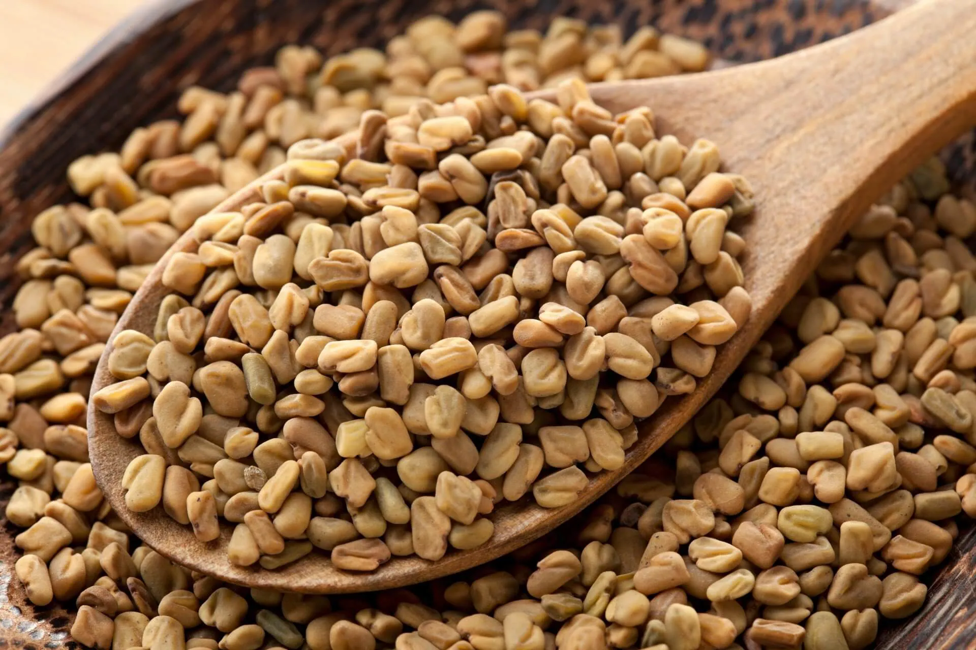 Tout savoir sur le fenugrec : Un complément alimentaire aux (très) nombreux bienfaits
