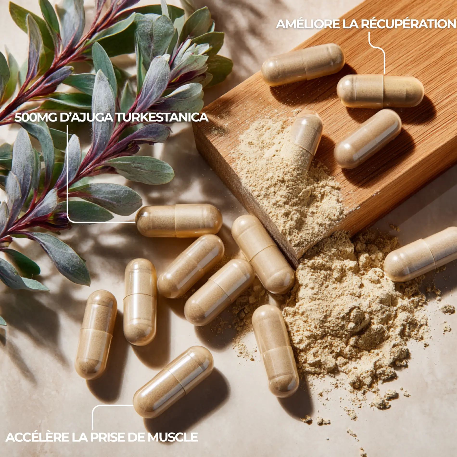 avis turkesterone de nutriforce par milliers