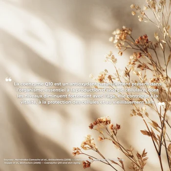 ubiquinol coenzyme q10 complément alimentaire
