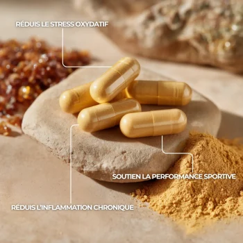 gélules et capsules de coenzyme q10 en complément alimentaire