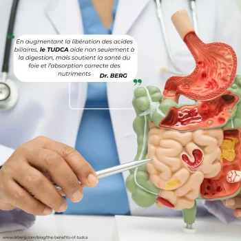 Le TUDCA Nutriforce est recommandé par les études cliniques et les médecins sérieux comme le dr berg