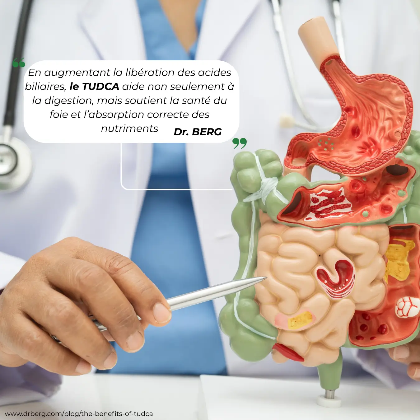 Le TUDCA Nutriforce est recommandé par les études cliniques et les médecins sérieux comme le dr berg