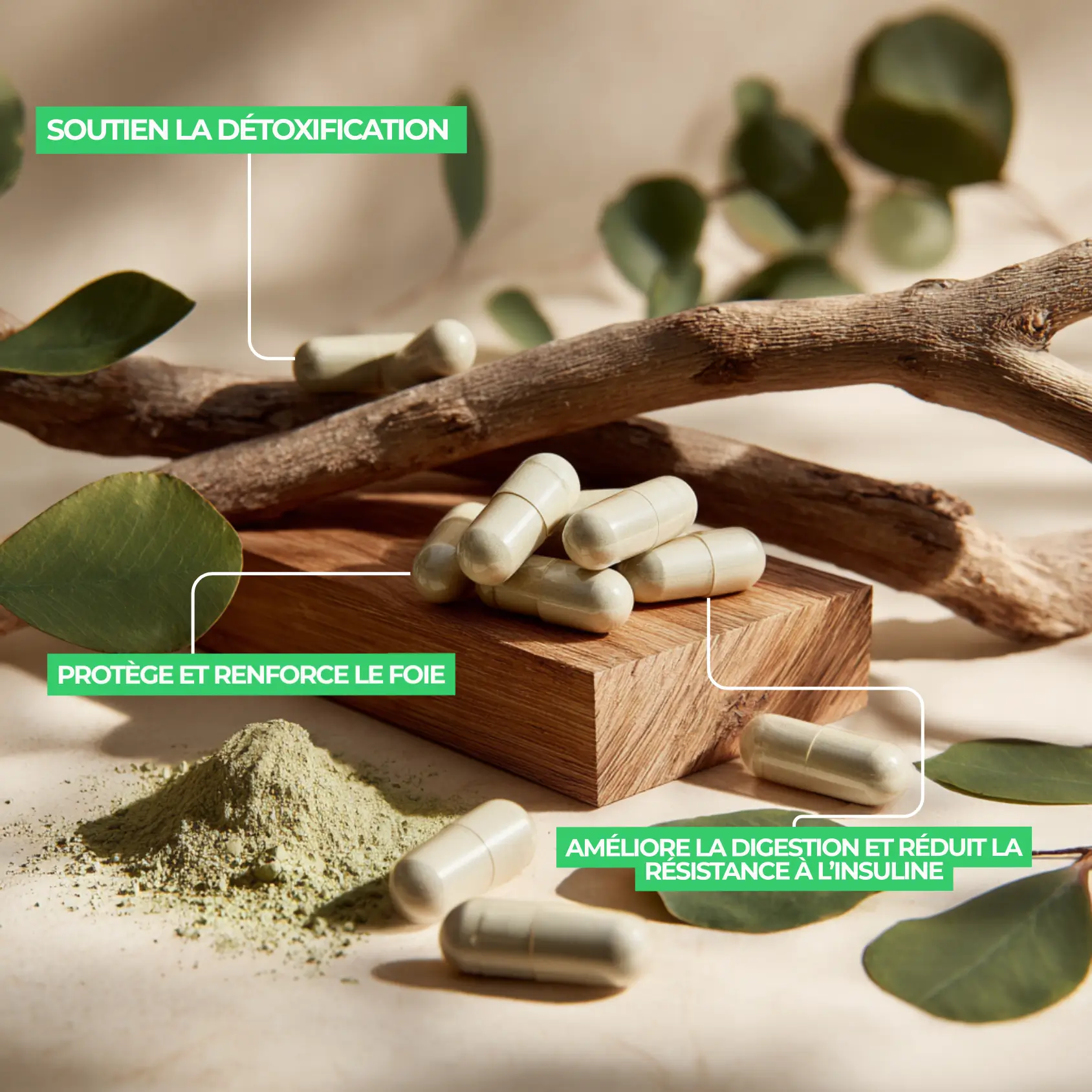 complément alimentaire de tudca pour le foie en pharmacie nutriforce