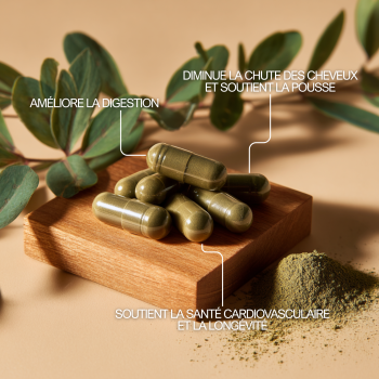 Alfalfa en gélules pour améliorer la santé cardiovasulaire , diminuer la chute de cheveux