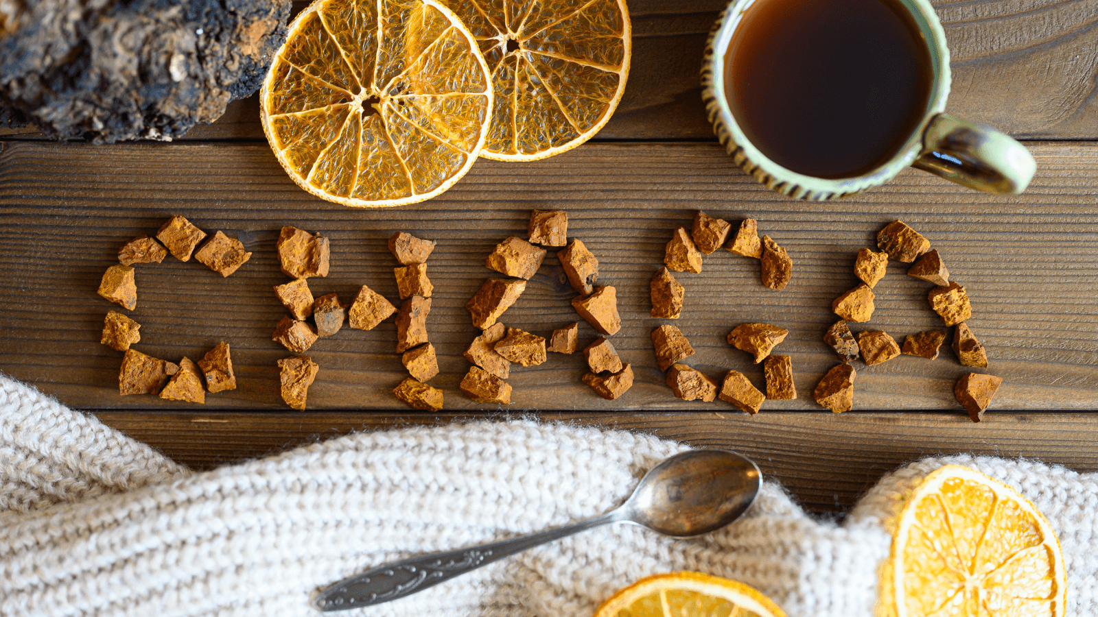 Le Chaga : un champignon aux nombreux bienfaits, notre avis