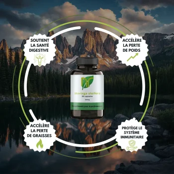 bienfaits Moringa oleifera