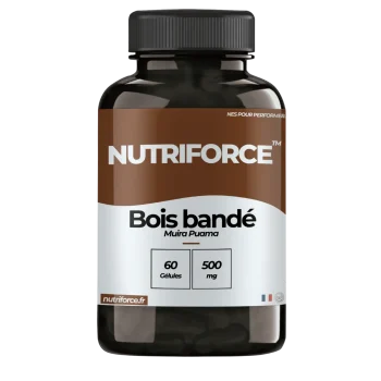 vrai bois bandé en gélules, muira puama des antilles