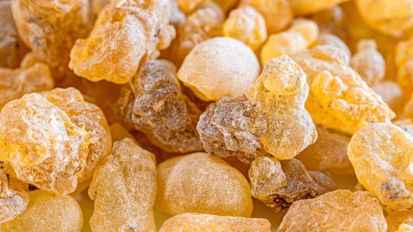Le Boswellia serrata : Perte ou Prise de poids ? Notre avis