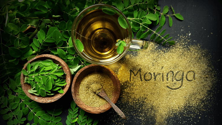 Moringa Oleifera : Quels sont ses bienfaits ?