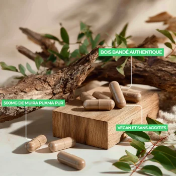 résultats de l'étude clinique et bienfaits du muira puama ou bois bandé en complément alimentaire