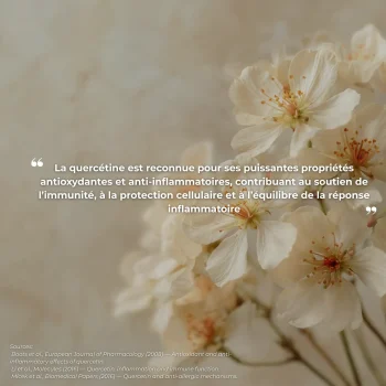Étude clinique réalisée par Nutriforce sur la quercétine