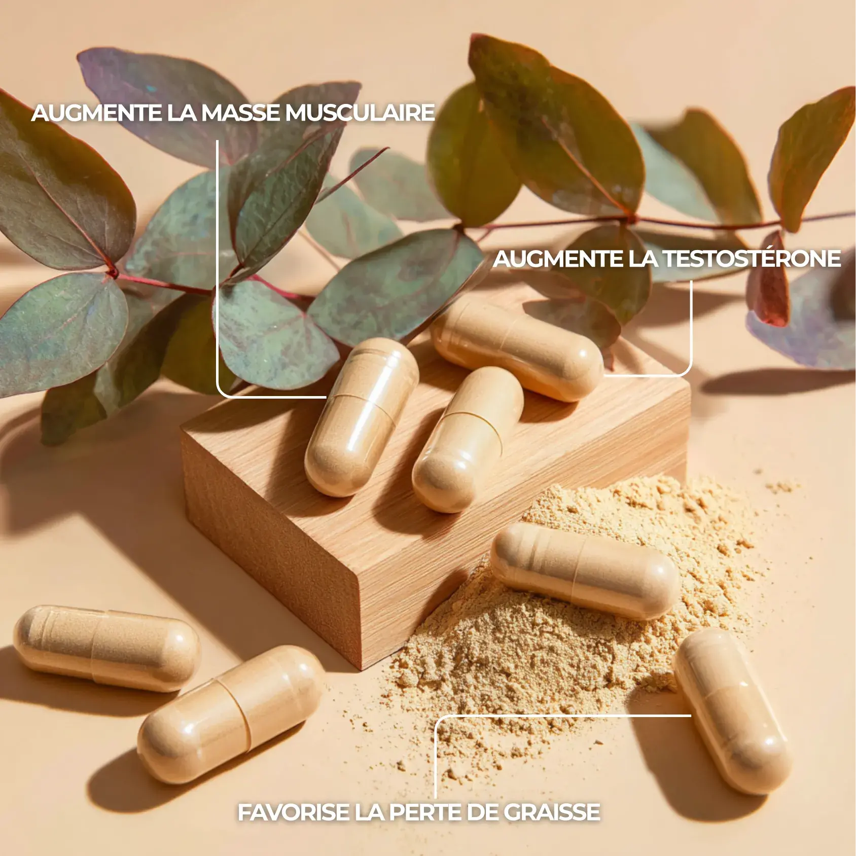 Fenugrec pour augmenter la testostérone, la force et la perte de gras