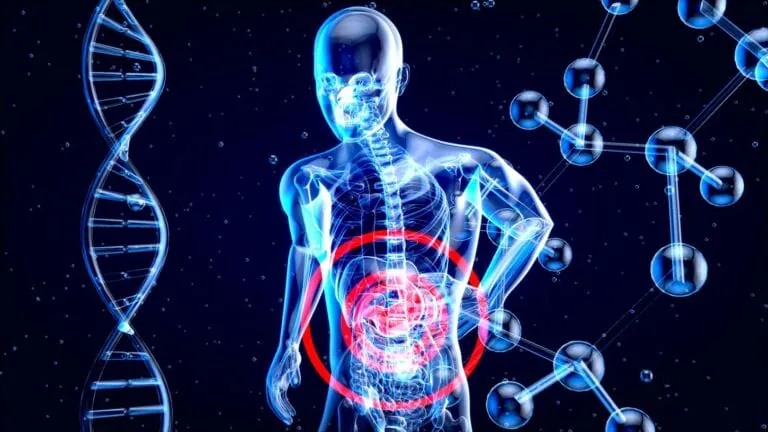 Lutter contre la rétention d’eau et améliorer la définition musculaire