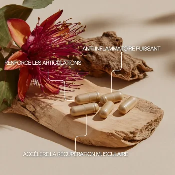 Griffe du diable pour accélérer la récupération musculaire et renforcer les articulations