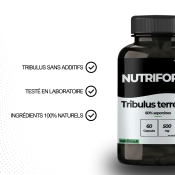 Bienfaits du tribulus terrestris complément alimentaire pharmaceutique qui a de nombreuses vertus