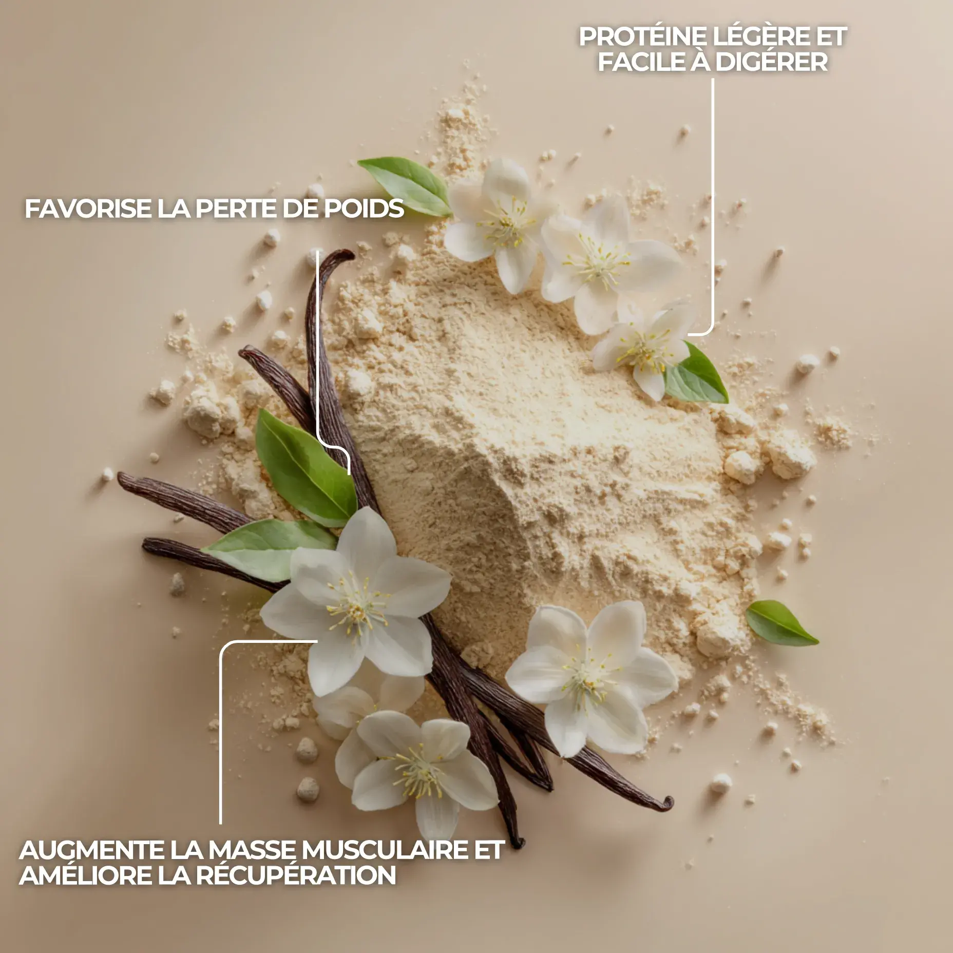 poudre de whey protéine bio française à la vanille en isolat de 1kg