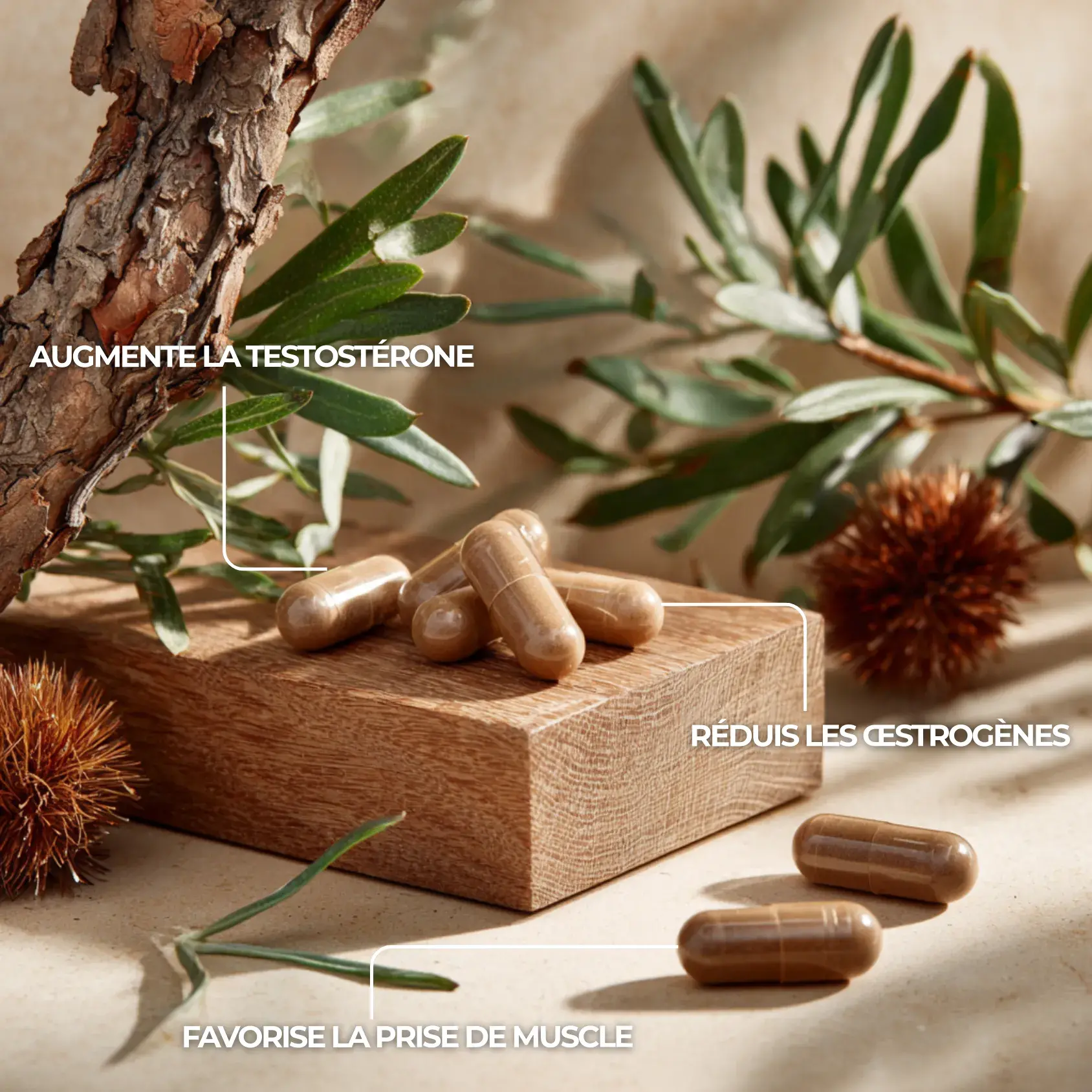 Complexe anti aromatase pour augmenter la téstostérone, réduire les oestrogènes et favoriser la prise de muscle