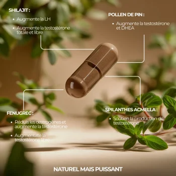 Booster de testostérone le plus efficace et anabolisant