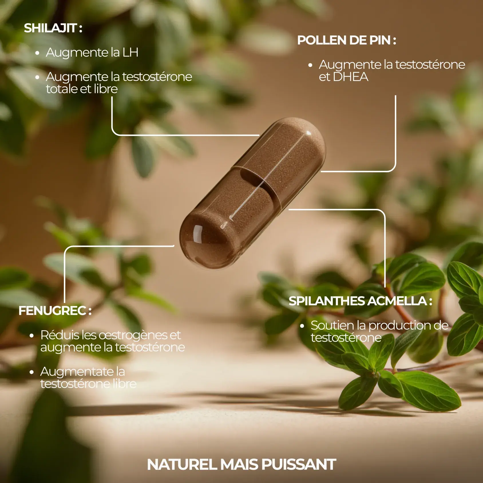 Booster de testostérone le plus efficace et anabolisant