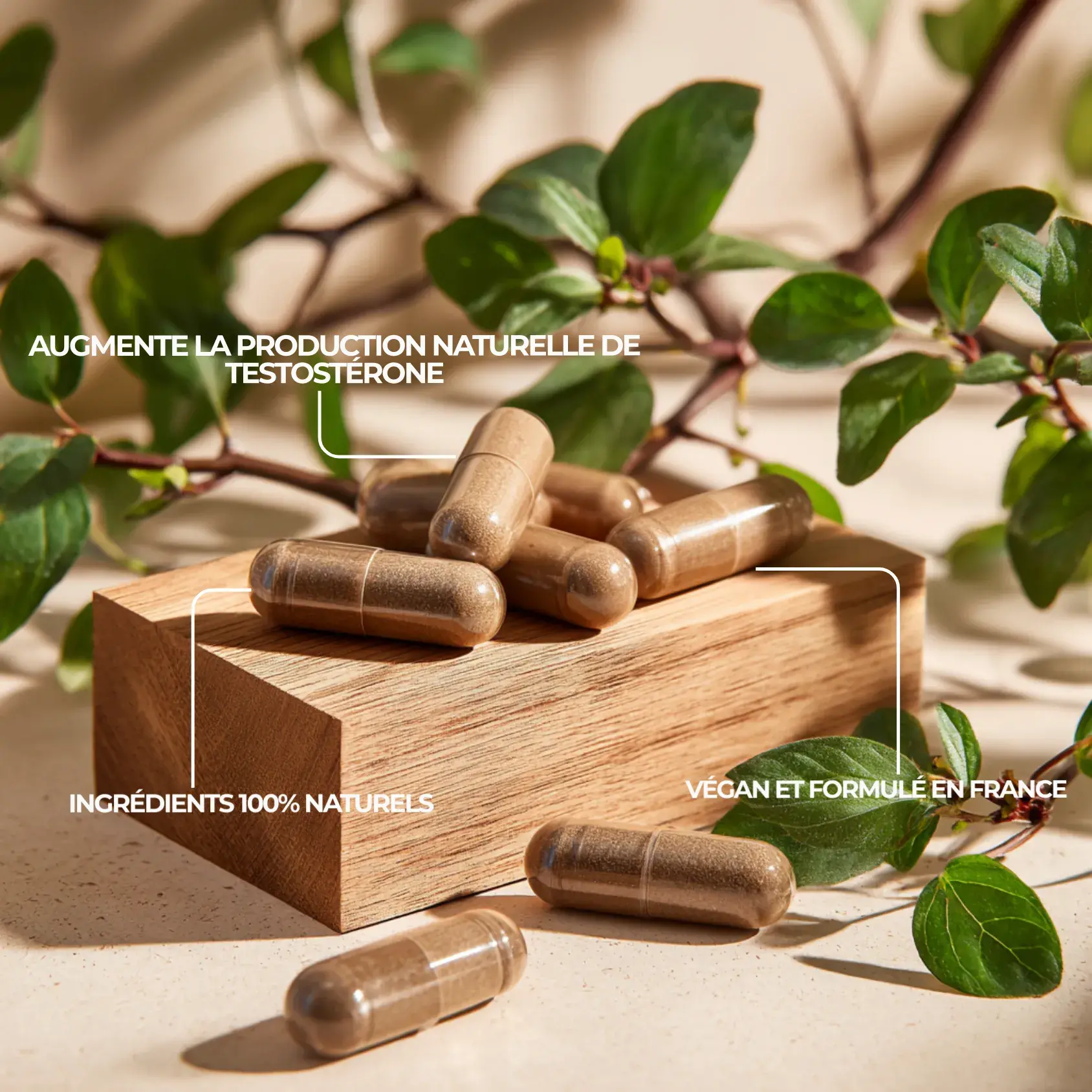 le plus puissant booster de testostérone naturel, alternative aux stéroïdes puissante