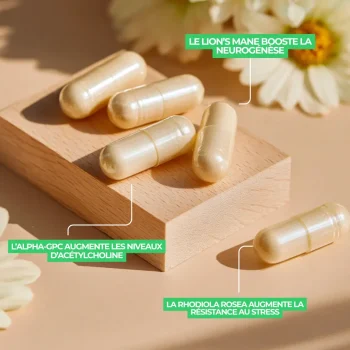 Complexe nootrope et nootropique naturel le plus puissant