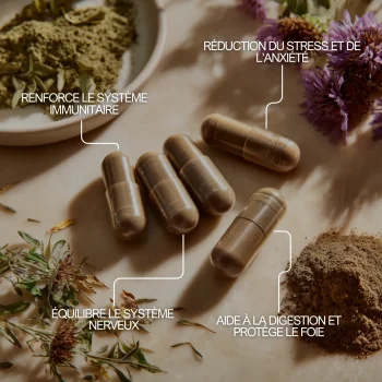 Basilic sacré tulsi pour réduire le stress et l'anxiété, renforcer le système immunitaire, aider à la digestion et protéger le foie