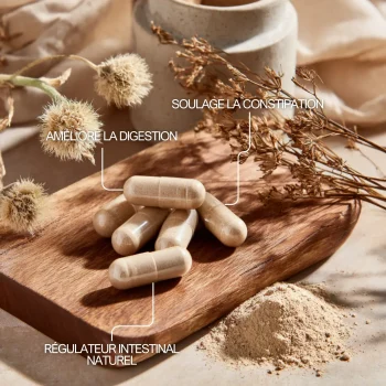 Psyllium pour réguler l'intestin et améliorer la digestion