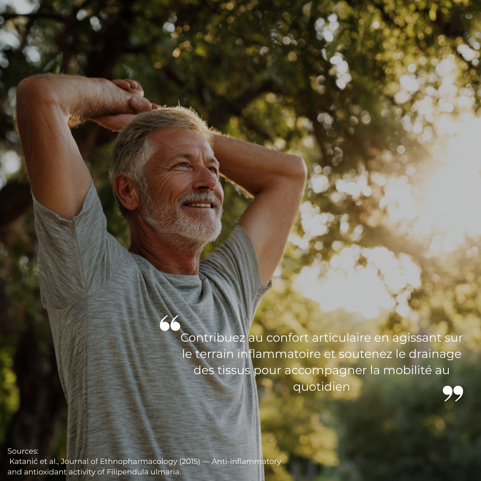 Étude clinique réalisée par Nutriforce sur la reine des prés