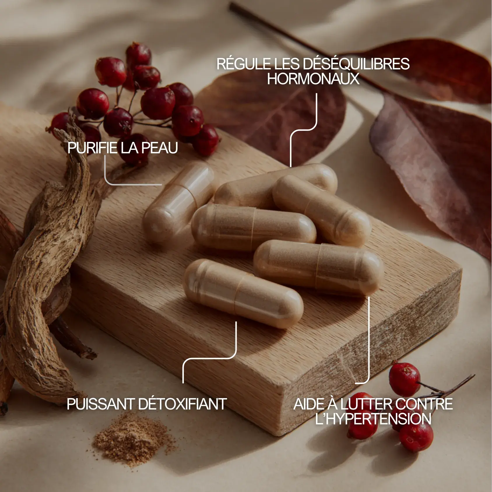 Salsepareille pour purifier la peau, aider à lutter contre l'hypertension et préserver le bien être