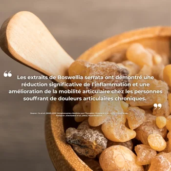 Etude clinique réalisée par nutriforce sur les compléments alimentaire pour les articulations, boswellia serrata