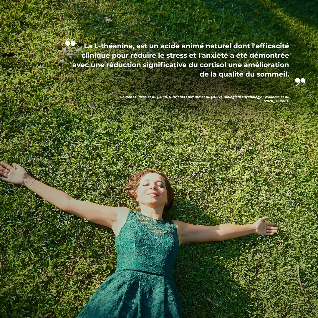Étude clinique réalisée par Nutriforce sur les compléments alimentaires anti-stress dont l'ashwagandha et la l-théanine