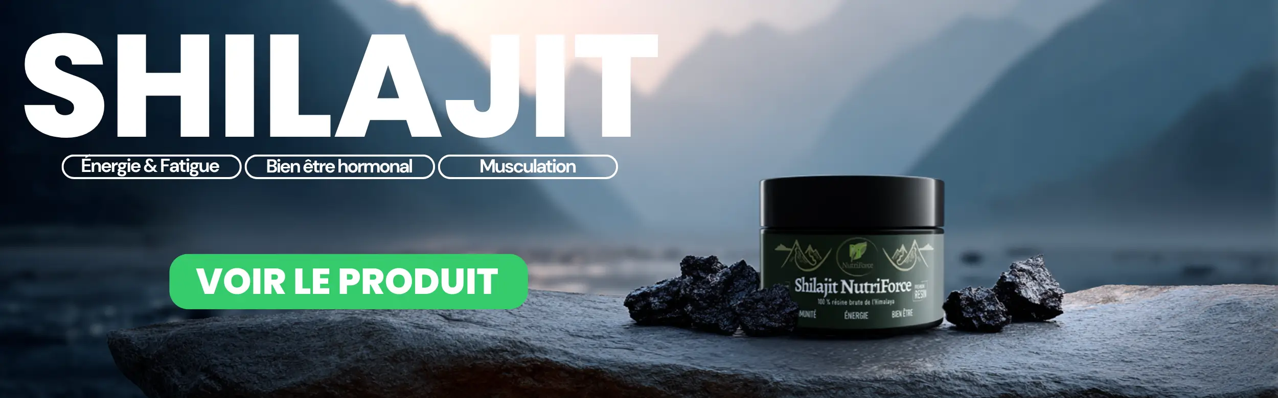 Shilajit nutriforce de l'himalaya en résine pure
