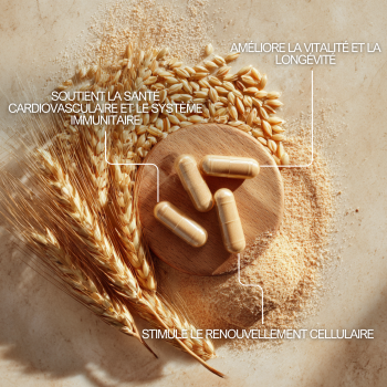 Spermidine en gélules pour soutenir la santé cardiovasculaire, protéger le système immunitaire